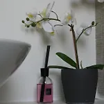 Bamboo Luxury Agrigento Bed & Breakfast 4*